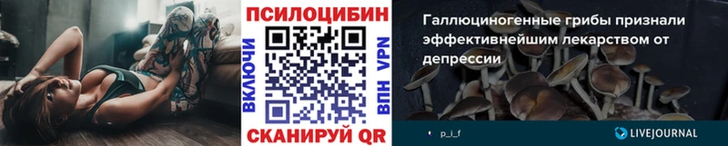 Галлюциногенные грибы прущие грибы  Мелеуз 